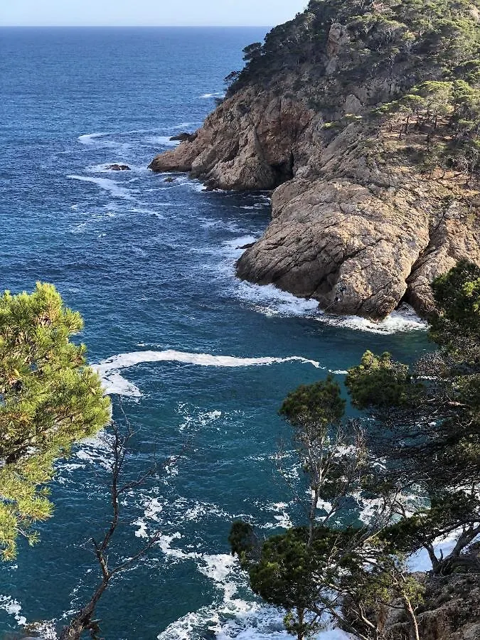 Holiday home Villa Mediterraneo Tossa de Mar
